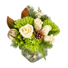 Winter Blooms Of Green And White - Floral Arrangement