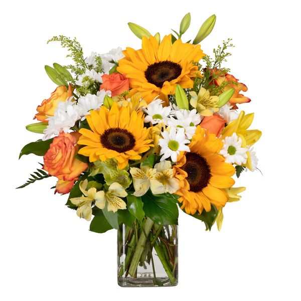 Sunflower Celebration with Happy Sunflowers, Orange Roses, Yellow Alstroemerias, White Mums and Yellow Asiatic Lilies