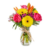 Happy Spring featuring Orange Asiatic Lilies, Yellow Gerbera Daisies and Hot Pink Roses