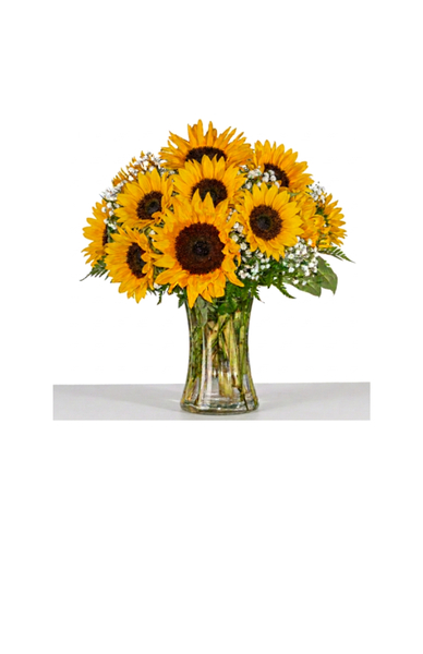 Sunflower Sensation