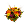 Perfectly Pumpkin - Floral Arrangement