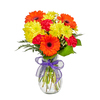 A Burst of Colourful Orange Gerberas and Yellow Daisies