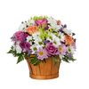 Sunlit Fields with Orange Carnations, White and Purple Daisies, Green Mums and Purple Roses
