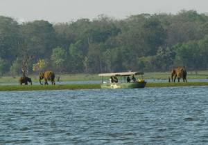 Kabini River Backwaters and Boat Safari