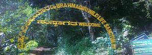 Brahmagiri Wildlife Sanctuary and Peak