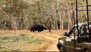 Mudumalai National Park