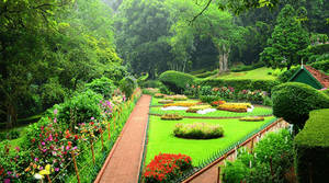 Sims Park