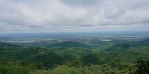 BR Hills and the Biligiriranga Temple