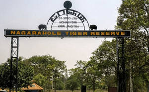 Nagarhole National Park Jeep Safari