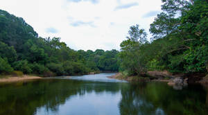 Mookambika Wildlife Sanctuary
