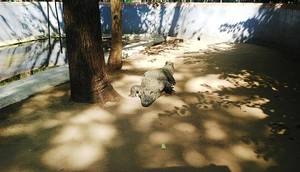 Amirthi Zoological Park