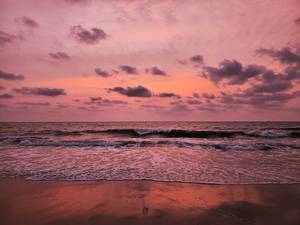 Andhakaranazhi Beach