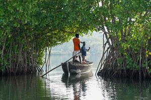 Ashtamudi Lake