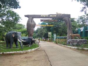 BRT Tiger Reserve