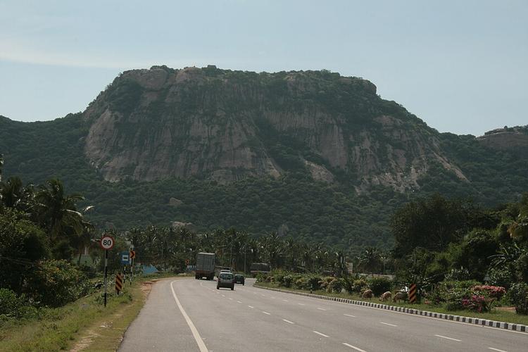 Bargur