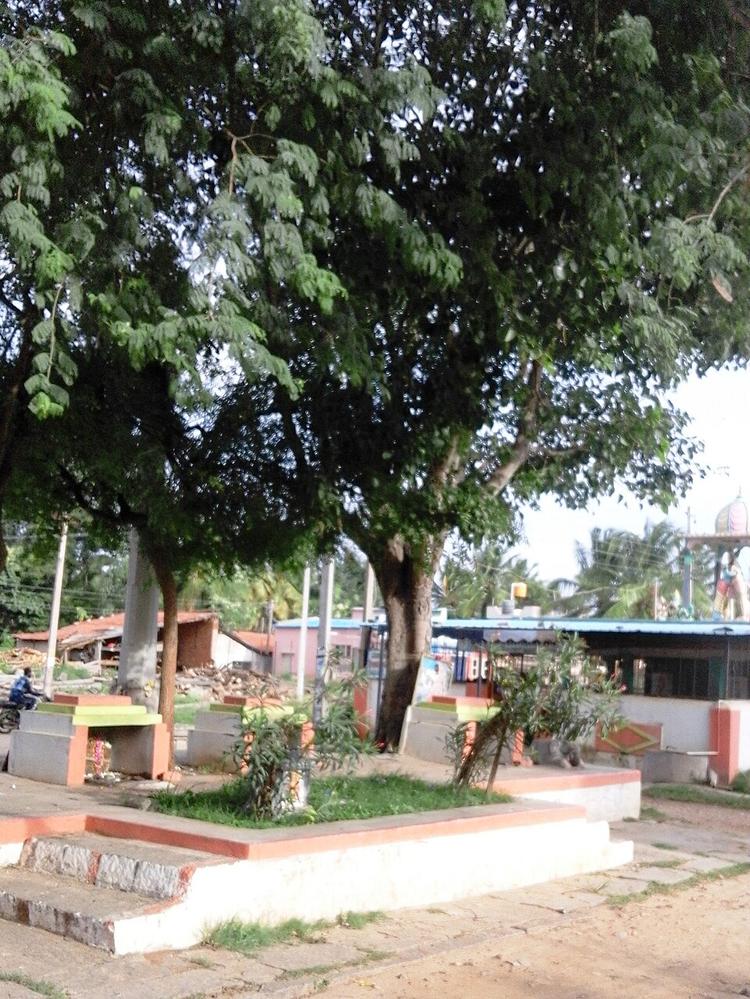 Bellur Cross