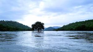 Bheemeshwari Adventure and Nature Camp