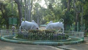Puducherry and Auroville