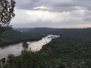 Cauvery Wildlife Sanctuary