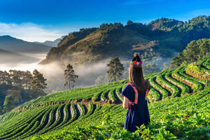 Coffee Estates of Kodagu