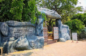 Crocodile Rehabilitation Centre