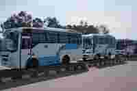 Three white buses with blue accents parked along a roadside, surrounded by trees and a clear sky.