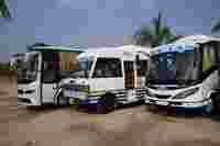 Three buses branded "Tejas" parked on a concrete surface, with palm trees and blue sky in the background.