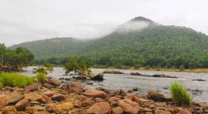 Galibore Hillock