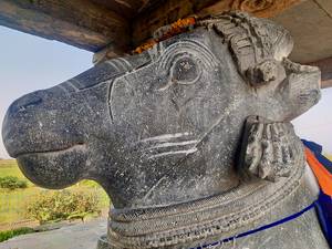 Yaganti and the Growing Nandi