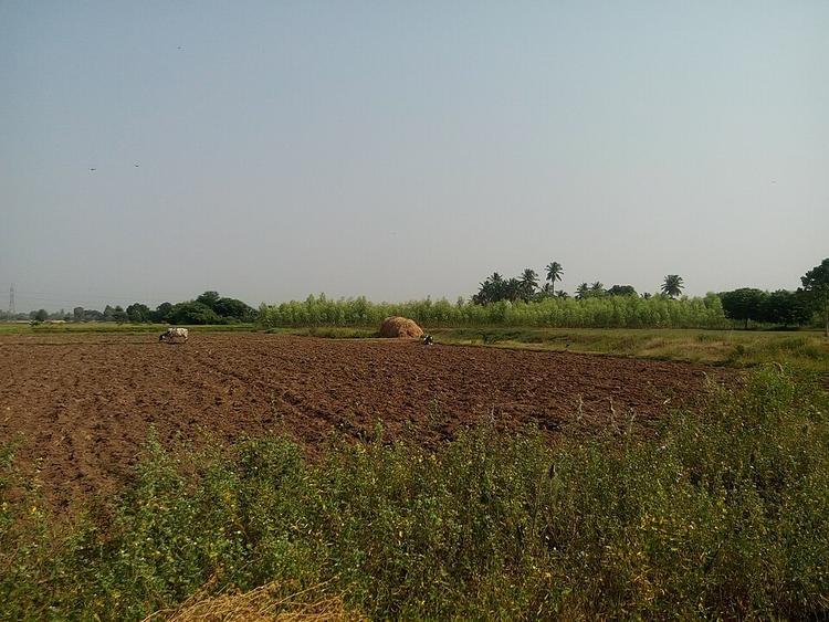 Gudiyatham