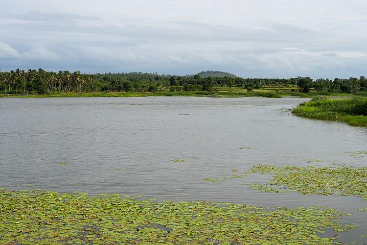 Harohalli