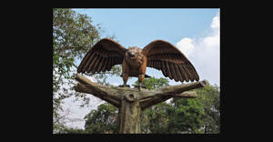 Jatayu Paka