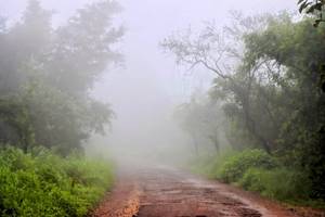 Jogimatti Forest and Hill