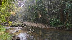 Kali Tiger Reserve