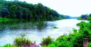 Kallada River and Boat Race