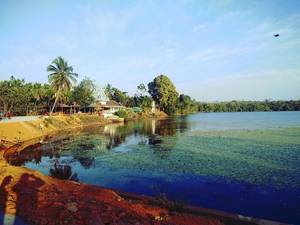 Kavadikere Lake