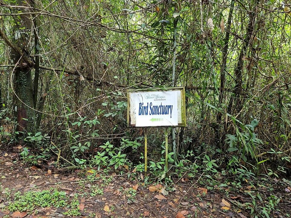 Kumarakom Bird Sanctuary