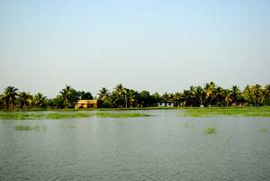 Kumarakom Village Life Experience