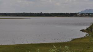 Kunigal Stud Farm and Kunigal Lake