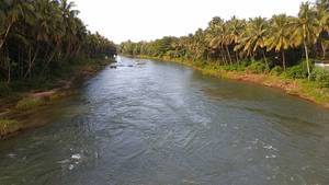 Kunthipuzha River and the Hanging Bridge