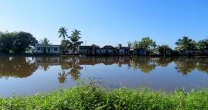 Kuttanad - The Rice Bowl of Kerala