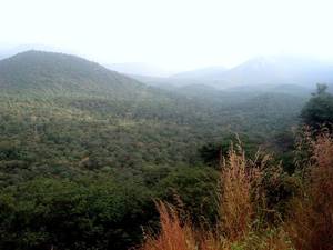 Male Mahadeshwara Hills