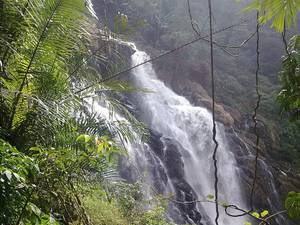 Meenmutty Falls