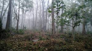 Muthanga Range