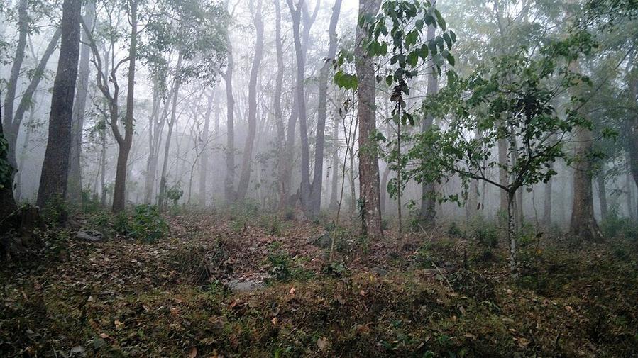 Muthanga Range