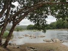 Muthathi