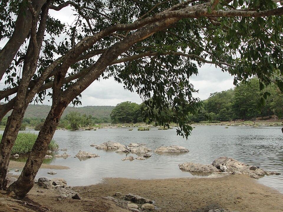 Muthathi