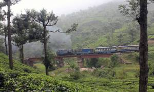 The Nilgiri Mountain Railway