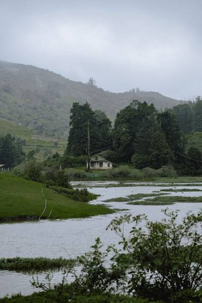 Bangalore to Ooty