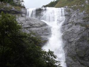 Palaruvi Falls (Kerala)